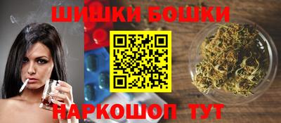 индика Ижевск