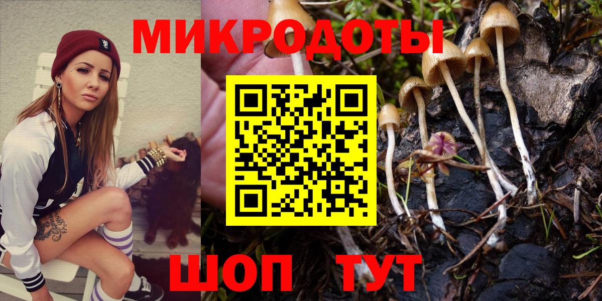 Галлюциногенные грибы Psilocybe Норильск