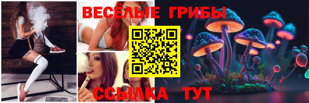 Норильск  Псилоцибиновые грибы Magic Shrooms  Вход с VPN 